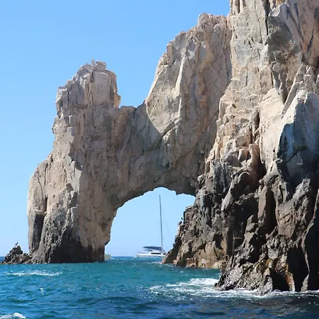 Baja Endless Summer